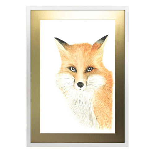 Animales Zorro