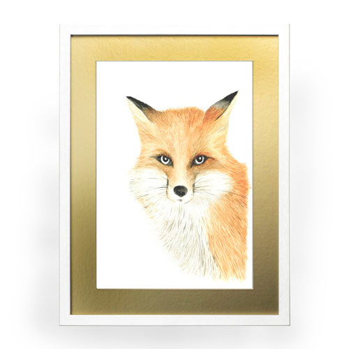 Animales Zorro