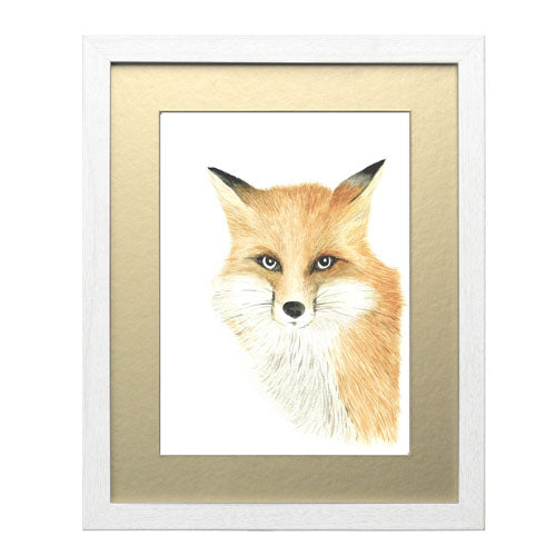 Animales Zorro