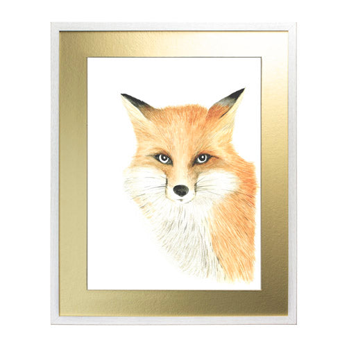Animales Zorro