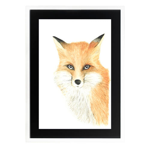 Animales Zorro
