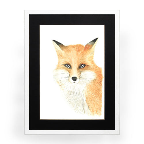 Animales Zorro