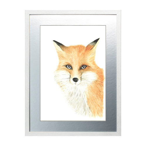 Animales Zorro