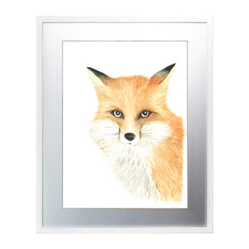 Animales Zorro