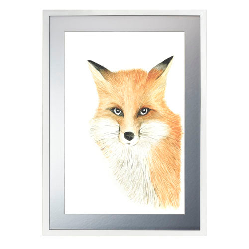 Animales Zorro