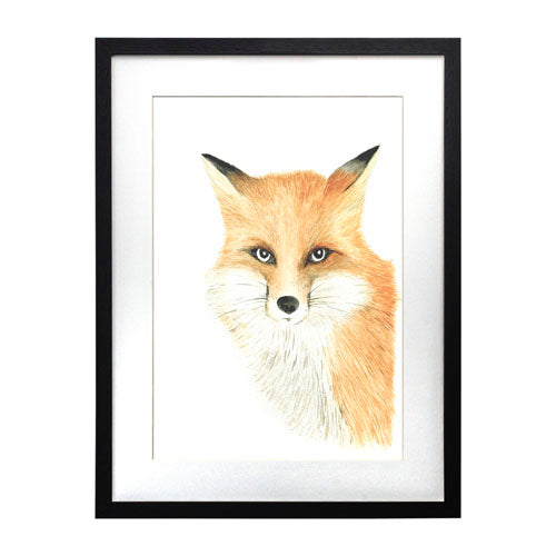 Animales Zorro