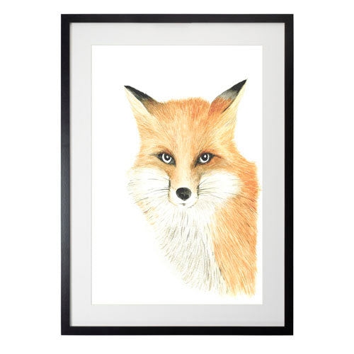 Animales Zorro