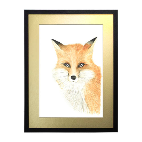 Animales Zorro
