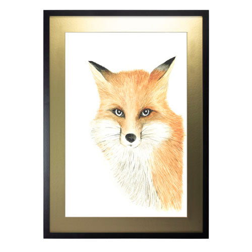 Animales Zorro