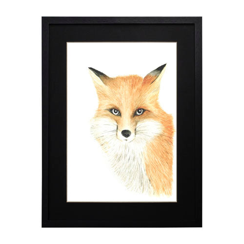 Animales Zorro