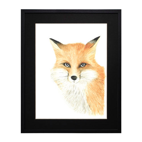 Animales Zorro