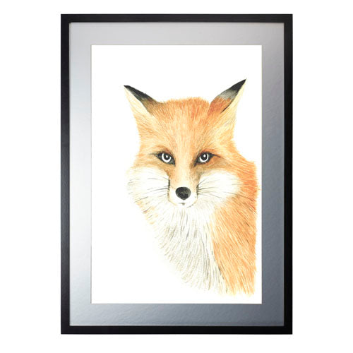 Animales Zorro