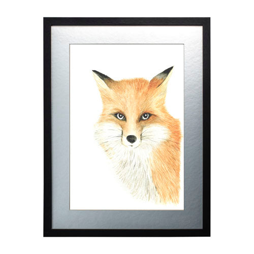 Animales Zorro
