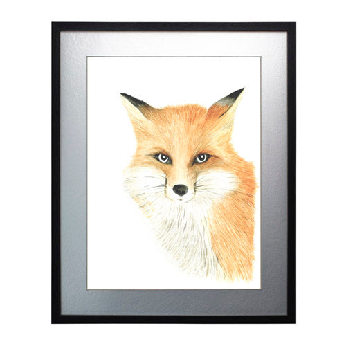 Animales Zorro