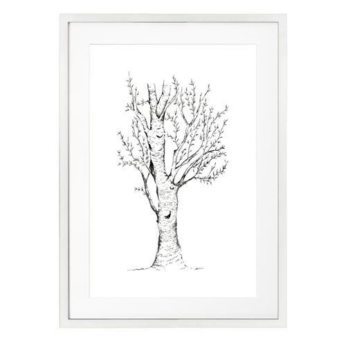 Arbol 2
