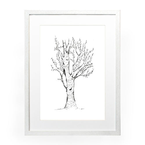 Arbol 2