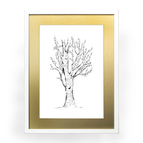 Arbol 2