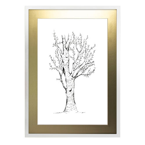 Arbol 2