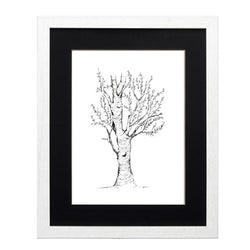 Arbol 2