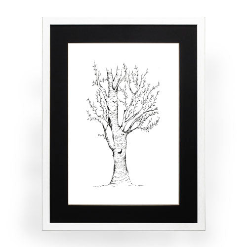 Arbol 2