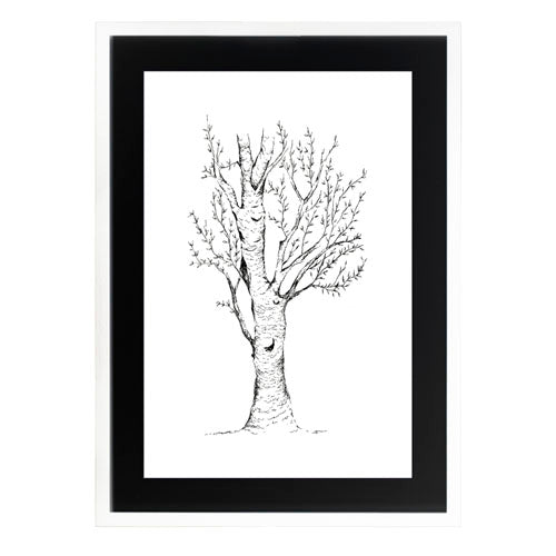 Arbol 2