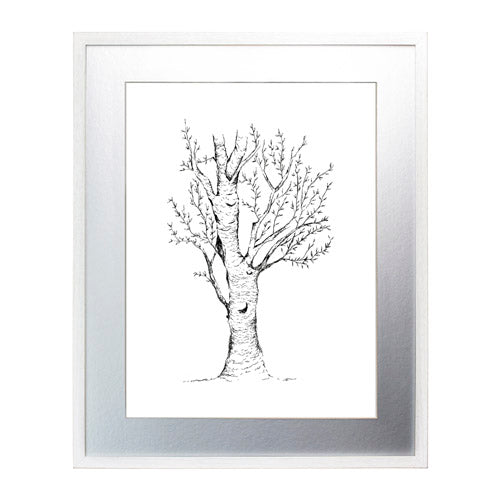 Arbol 2