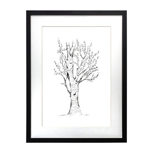 Arbol 2