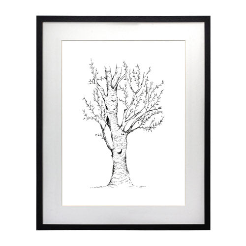 Arbol 2