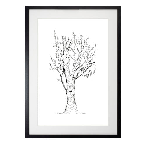 Arbol 2