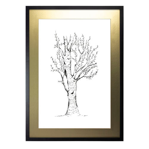 Arbol 2