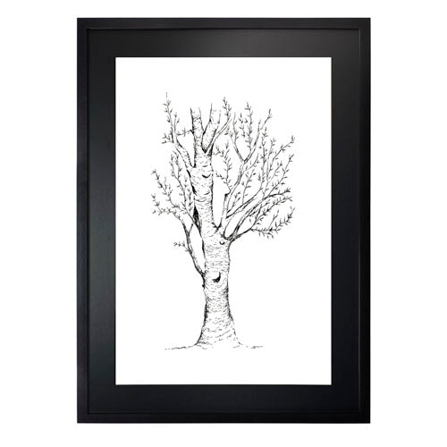 Arbol 2