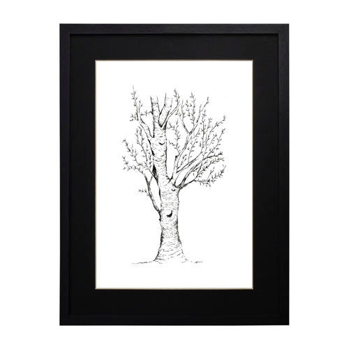 Arbol 2