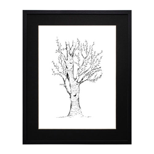 Arbol 2