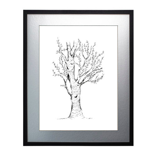 Arbol 2