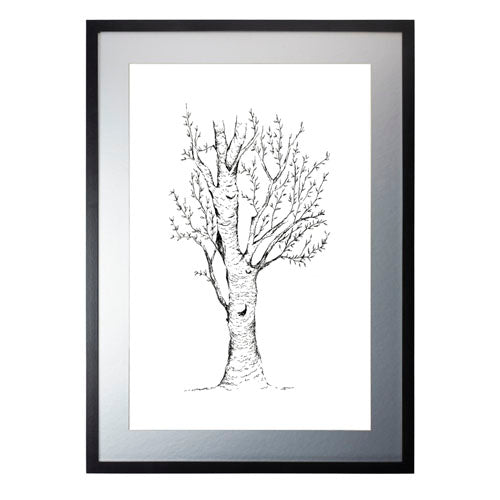 Arbol 2