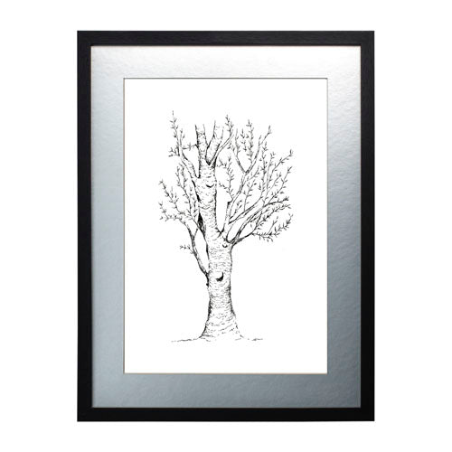 Arbol 2