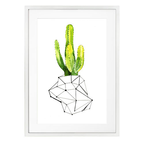 Cactus 1