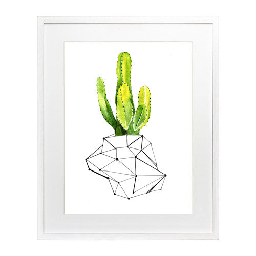 Cactus 1