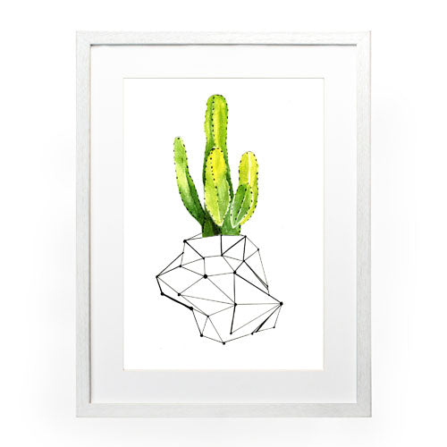 Cactus 1