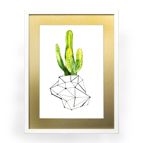 Cactus 1
