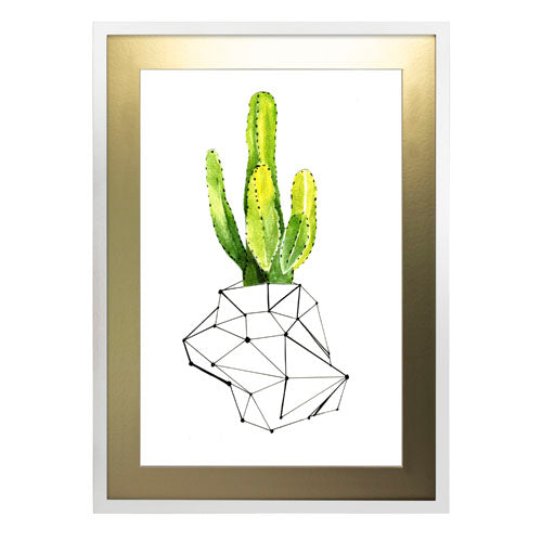 Cactus 1