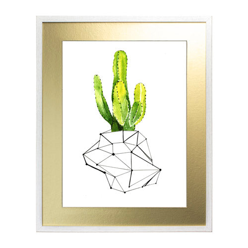 Cactus 1