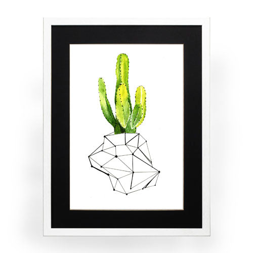Cactus 1