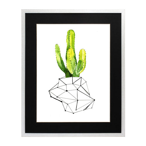 Cactus 1