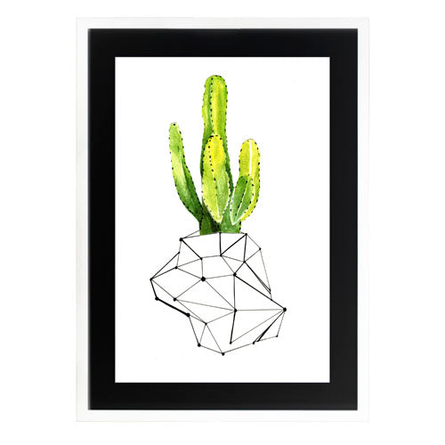 Cactus 1