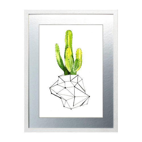 Cactus 1