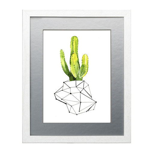 Cactus 1