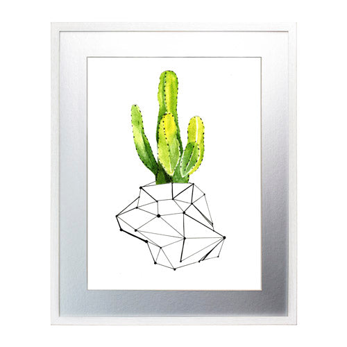 Cactus 1