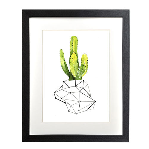 Cactus 1