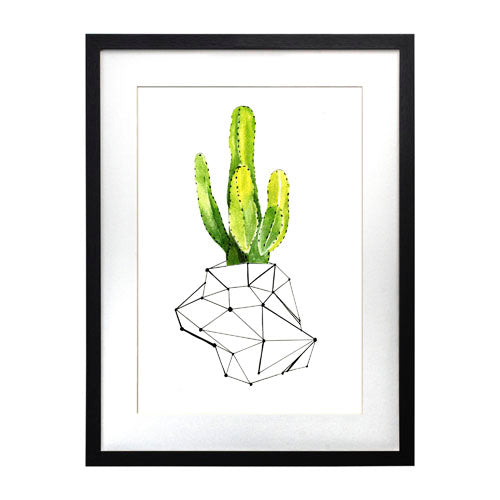 Cactus 1